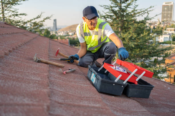 Best Yard Waste Removal  in Sturgis, SD
